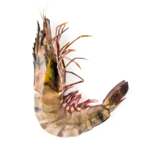 Giant Tiger Prawns U8 Whole and Cleaned - Online Delivery in Karachi, Lahore, Other Cities - Wholesome Seafood