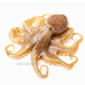 Fresh Octopus Whole and Cleaned – Online Delivery in Karachi, Lahore, Other Cities – Wholesome Seafood