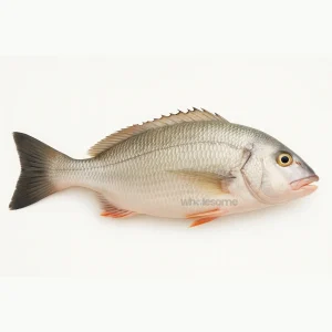 Fresh Sobaity Sea Bream (Dathi) Fish – Clean White Meat – Online Delivery in Karachi, Lahore & Pakistan – Wholesome Seafood
