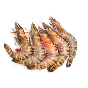 Premium Tiger Prawns U12 Whole and Cleaned - Online Delivery in Karachi, Lahore, Other Cities - Wholesome Seafood