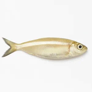 Fresh White Sardine Mithoo – Small Boneless Fish – Online Delivery in Karachi, Lahore & Across Pakistan – Wholesome Seafood
