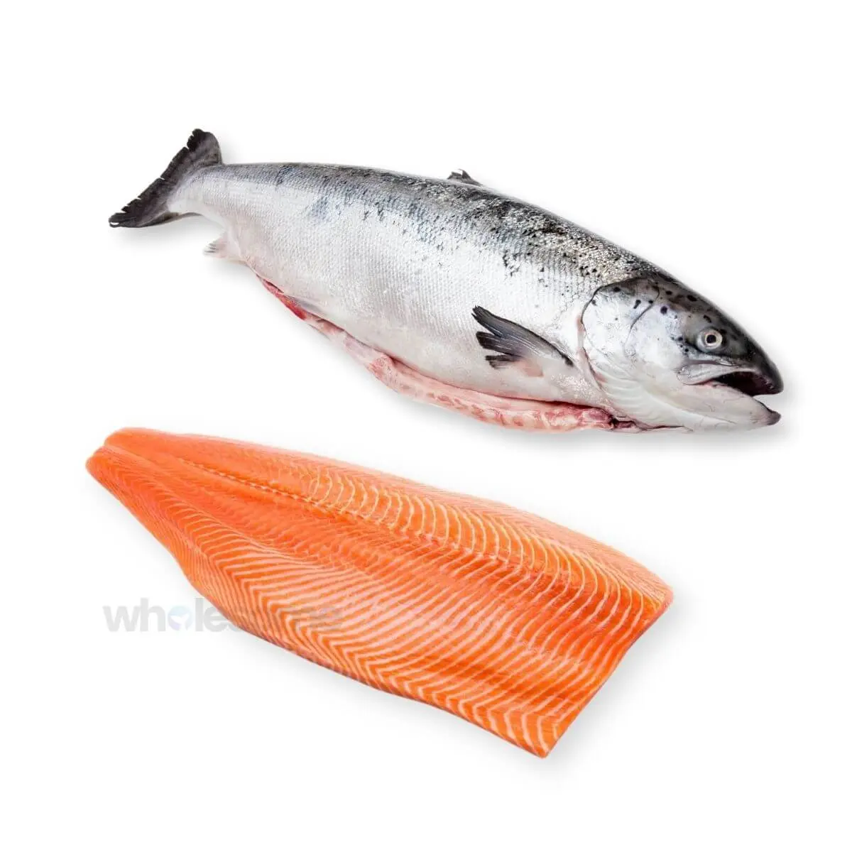 Fresh Norwegian Salmon – Norrway Origion, available online at Wholesome Seafood