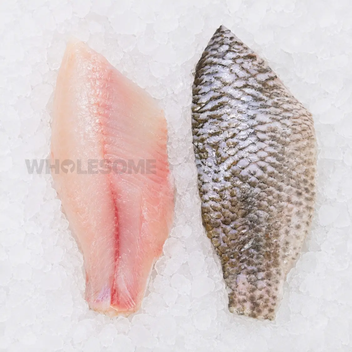 Tilapia Skin On Boneless Fillet on ICE by Wholesome Seafood Pakistan. Online Seafood Delivery