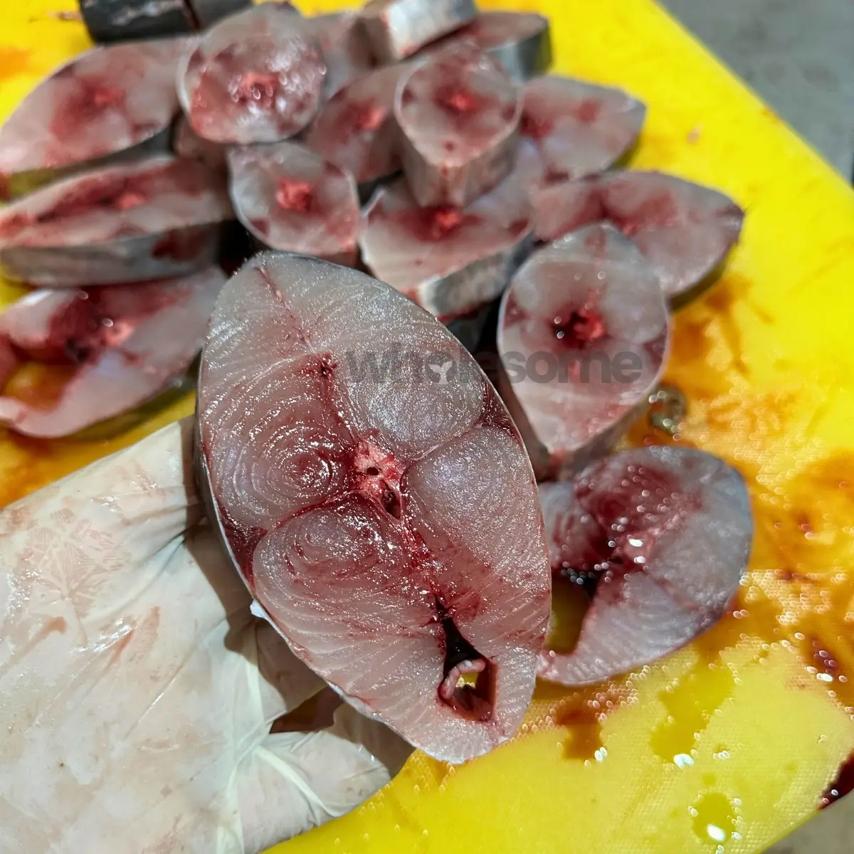 Fresh Kingfish (Surmai) steak cut showing firm white flesh and natural texture
