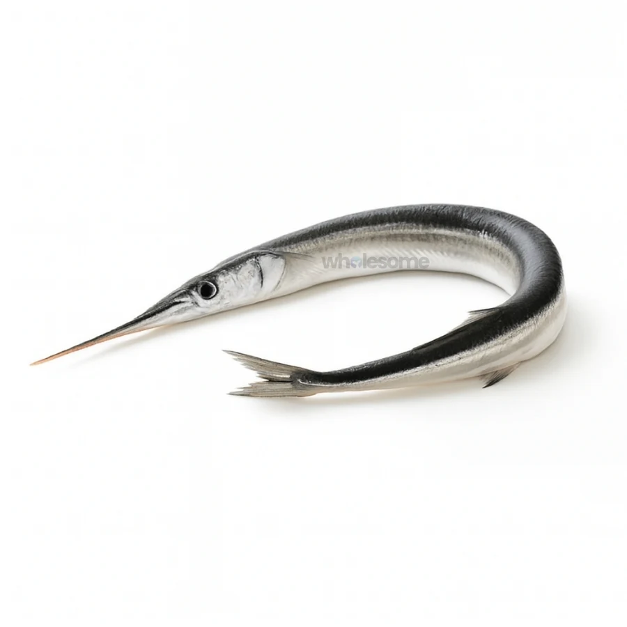 Fresh Needlefish Kanghi – Long Slender Silver Fish – Online Seafood Delivery in Pakistan – Wholesome Seafood